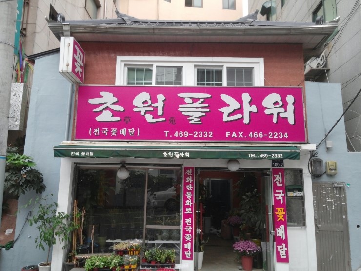 초원플라워 이미지
