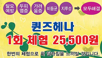 퀸즈헤나교실 이미지
