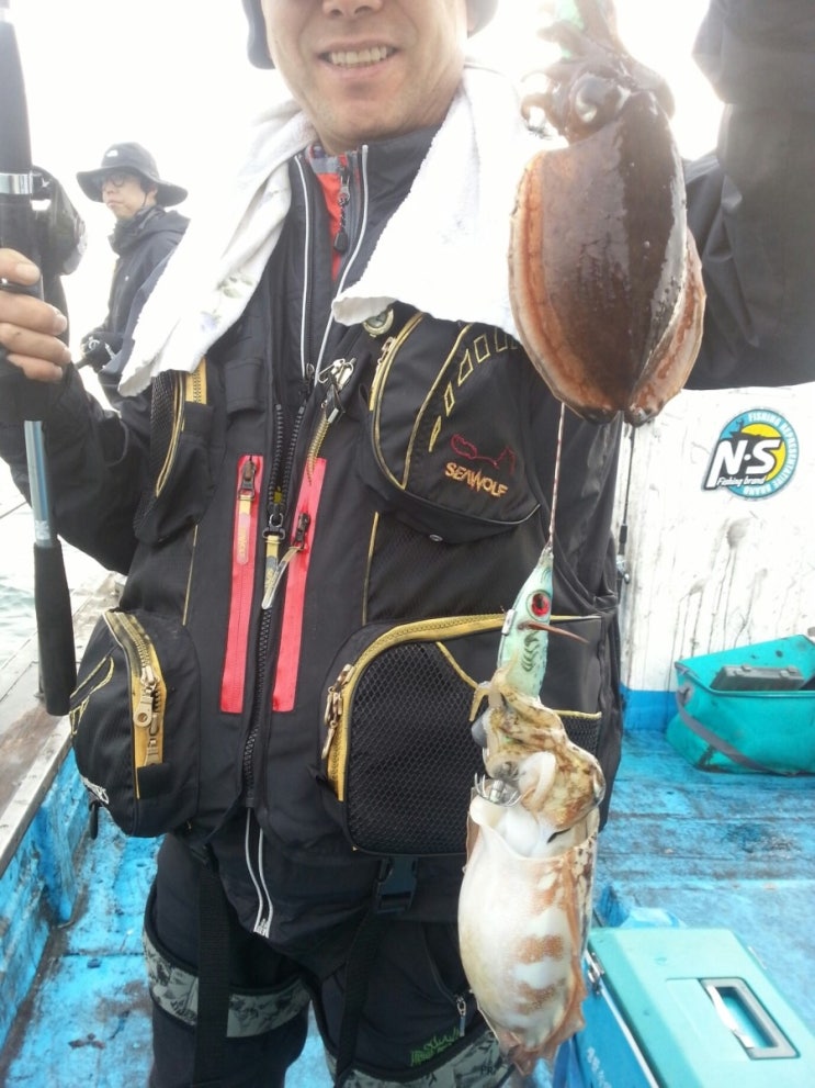 아일랜드호 이미지