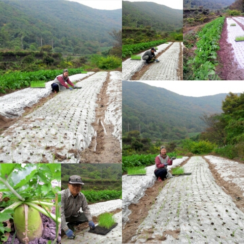 명림당 이미지