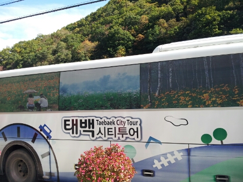 백두항공여행사 이미지