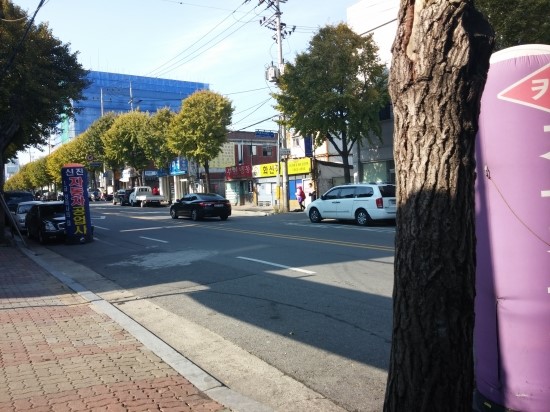 밀림냉동 이미지