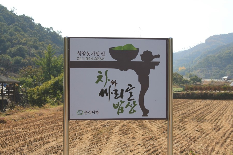 온직다원 이미지