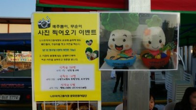 팔도투어 이미지