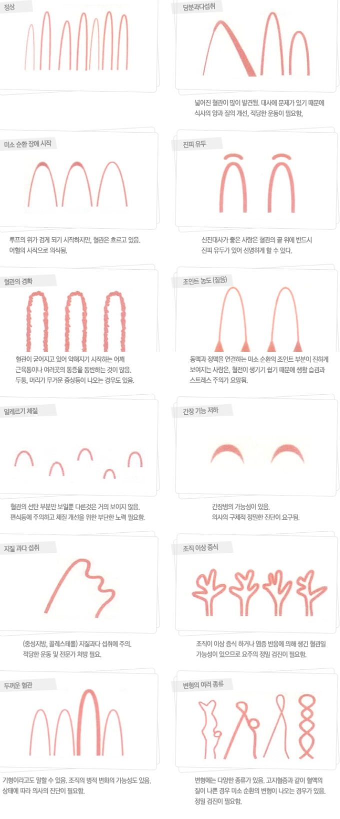 와이즈텍 이미지