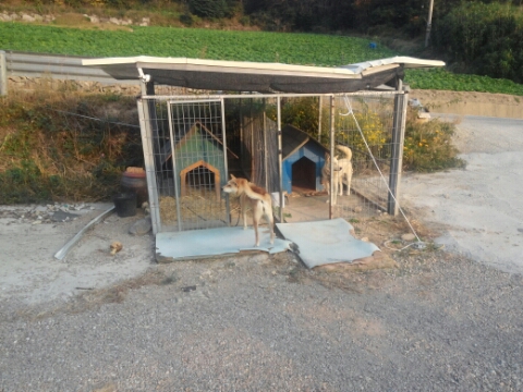 동령개팬션 이미지