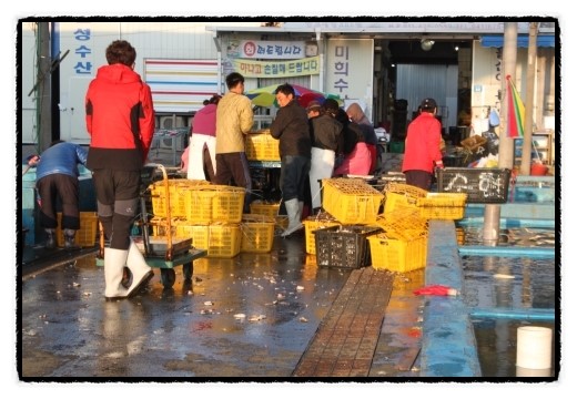 수림수산 이미지