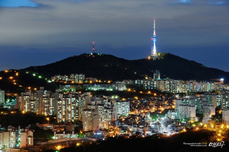씨포레 이미지