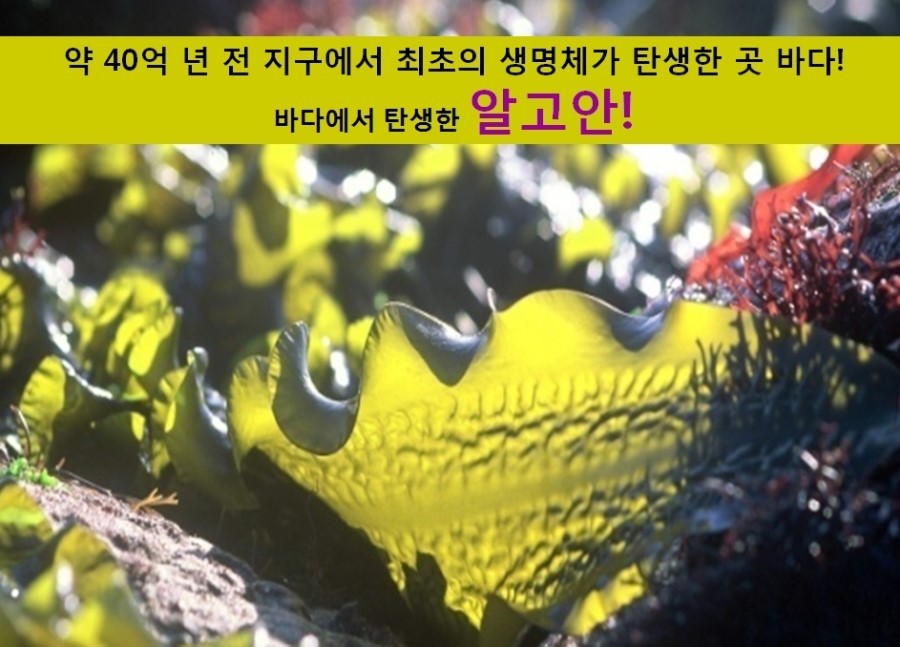 탱탱피부관리샵 이미지
