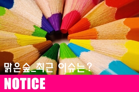 방배맑은숲국어논술전문학원 이미지