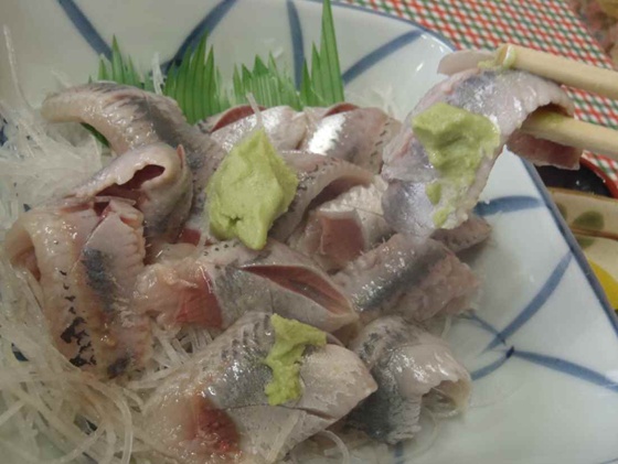 물고기상점 이미지