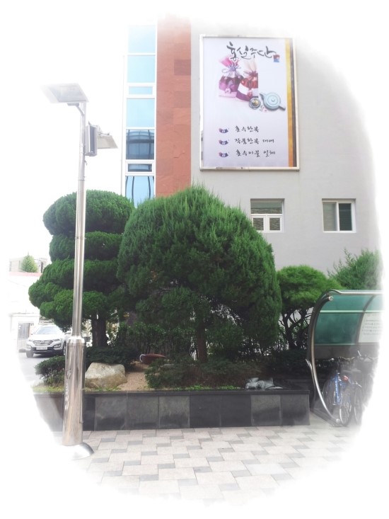 홍실주단 이미지