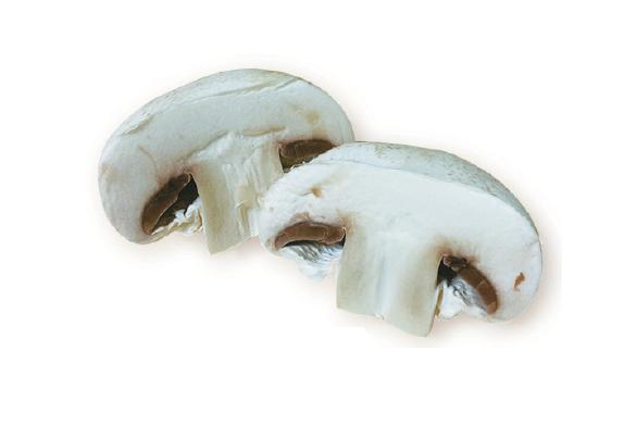 로시종합환경 이미지