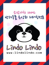 린도 이미지