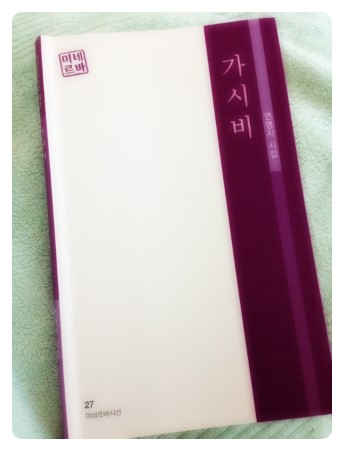 가시비 이미지