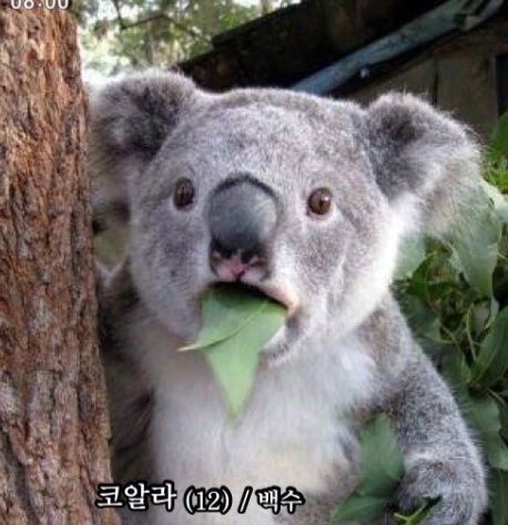 라라패션 이미지
