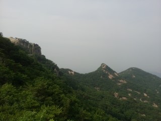 보시기 이미지