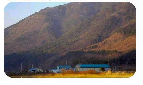 좋은마켓진안산 이미지