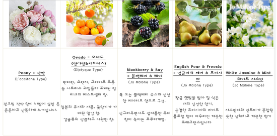 mabelle마벨 이미지