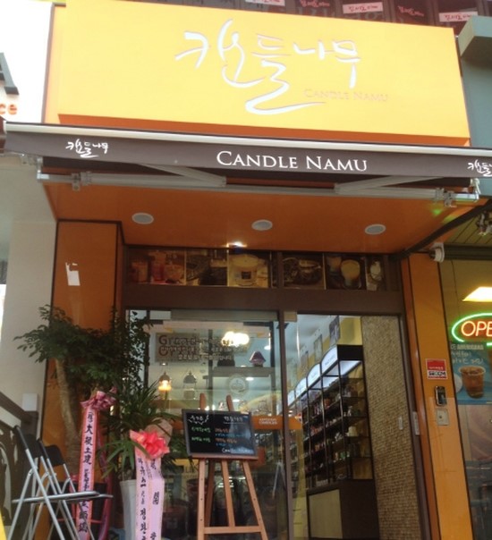 캔들나무 이미지