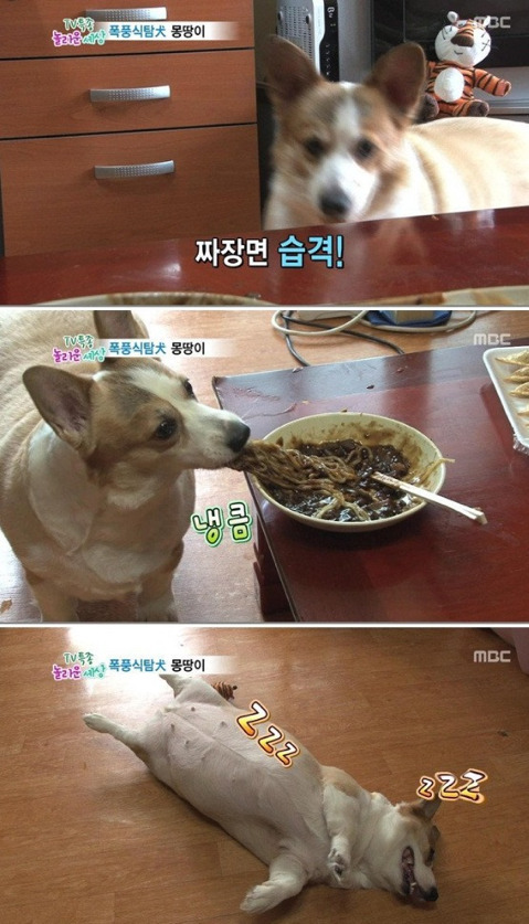 사과반쪽 이미지
