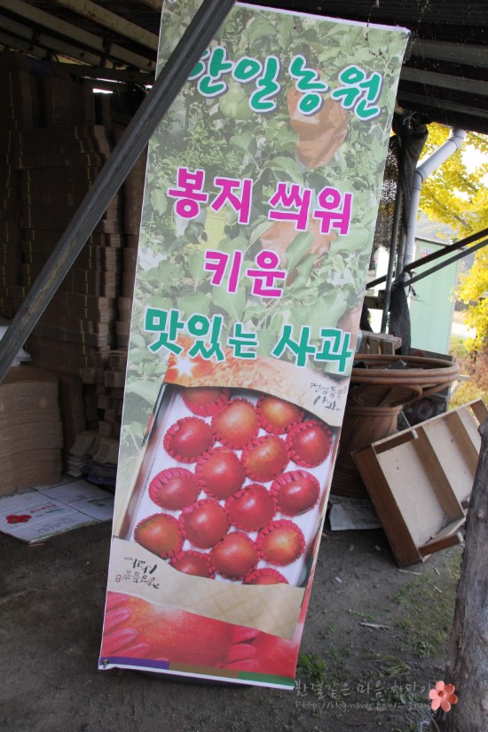 한일농원 이미지