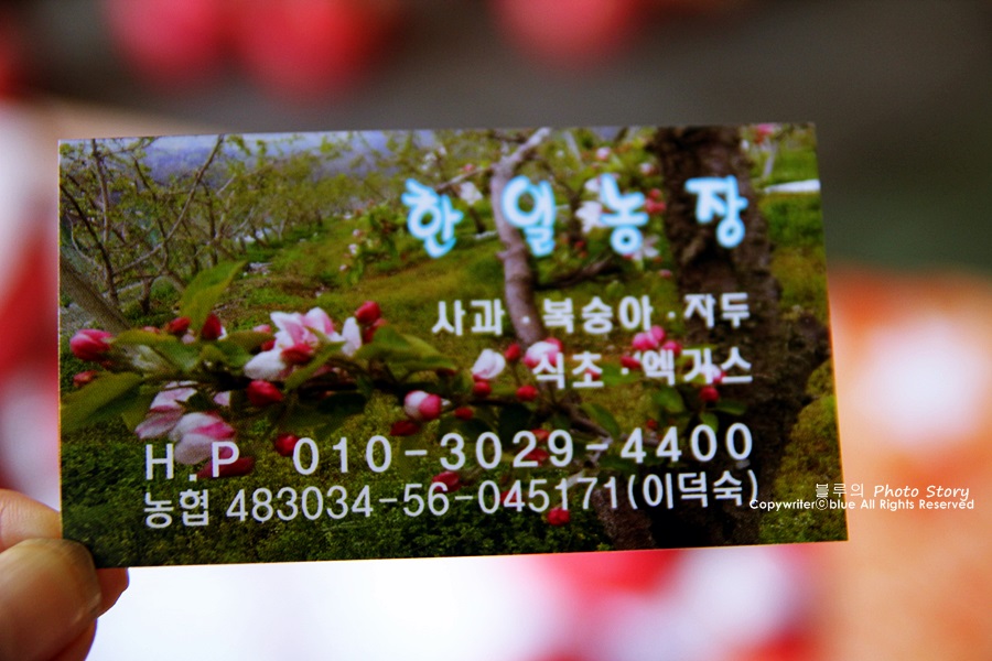한일농원 이미지