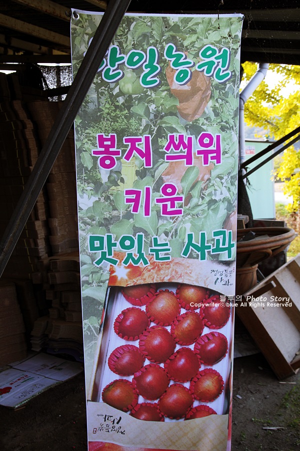 한일농원 이미지