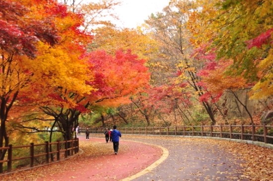 현대공영(주) 이미지
