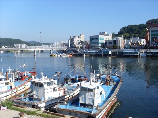 강구항 이미지