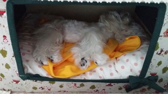 향아네 이미지