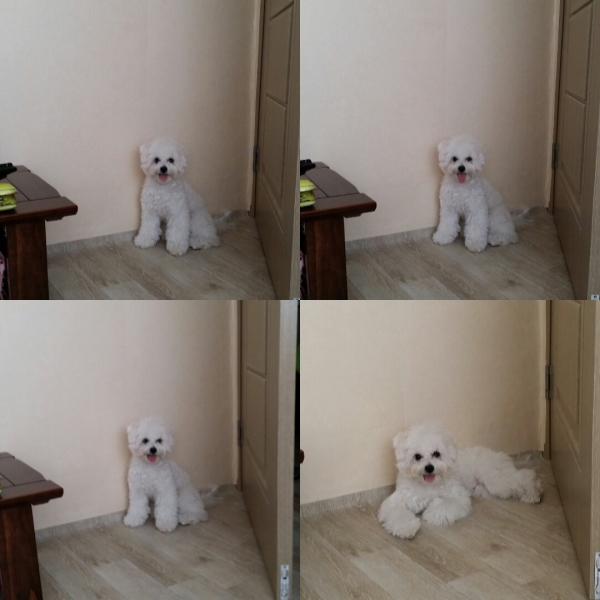 니니언니 이미지