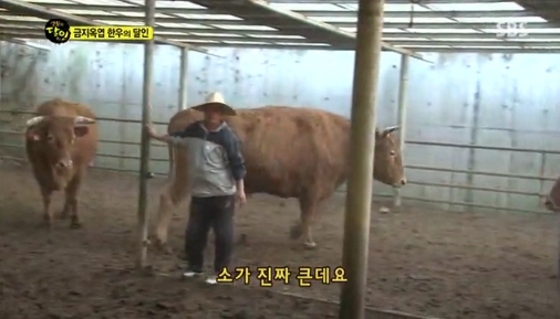 달인명품한우 이미지