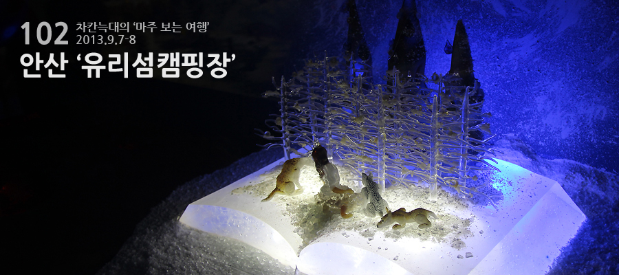 (주)유리섬 이미지