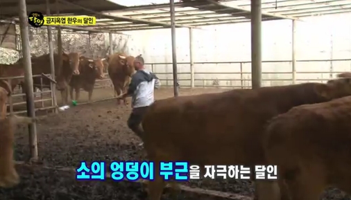 달인명품한우 이미지