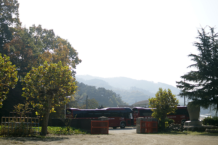 순천만 전통된장 이미지