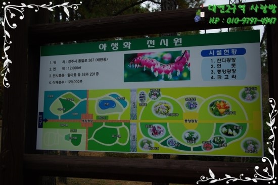 마로니에화원 이미지