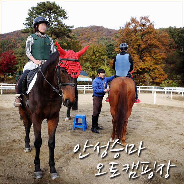 안성승마클럽 이미지
