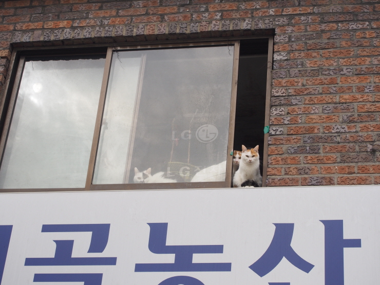 (주)우리농산 이미지
