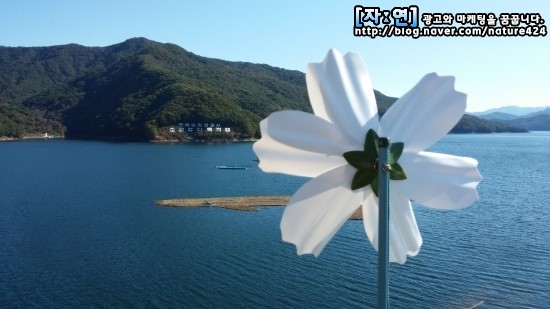 대림슈퍼 이미지