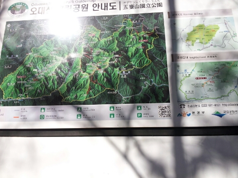 동백관광여행사 이미지
