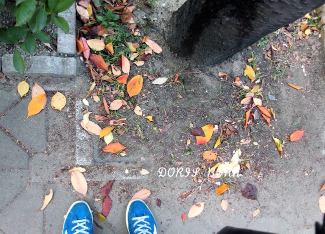 골든씨(주) 이미지