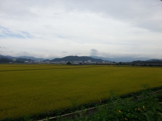 낙동강칠백리 이미지