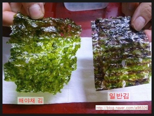 해야채 이미지
