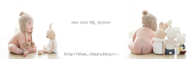 해야채 이미지
