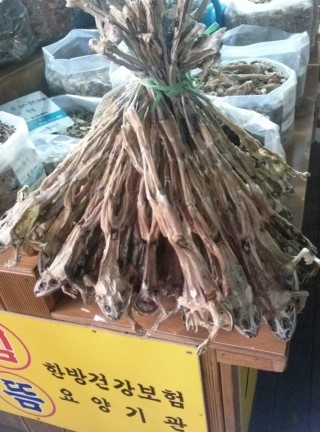 경동식품 이미지