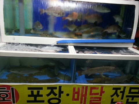 전라도막횟집 이미지
