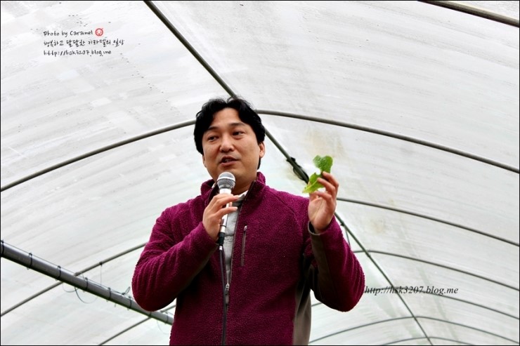 이 푸른농산물 이미지