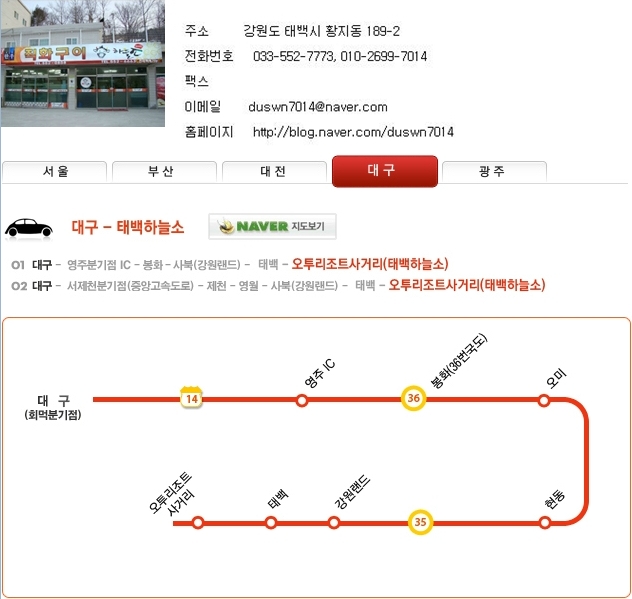 태백하늘소 이미지