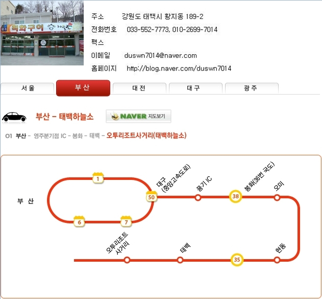 태백하늘소 이미지